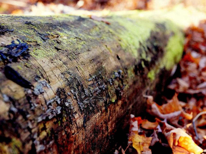 sudoku ocean theme screenshot 6